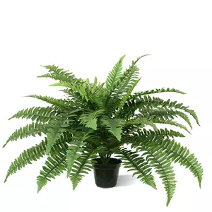 Plantje Boston Varen Deluxe 65 cm - Kunstplant