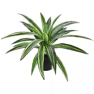 Plantje Dracaena Massangeana 40 cm - Kunstplant