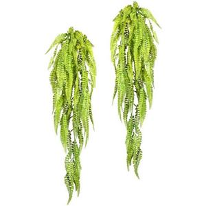 Creativ green Kunstplant Adianthumhanger set van 2 (2 stuks)