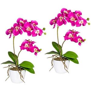 Creativ green Kunstplant Vlinderorchidee in een keramische pot (set, 2 stuks)