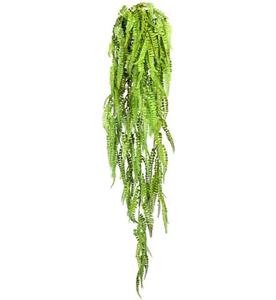 Creativ green Kunstplant Adianthumhanger (1 stuk)