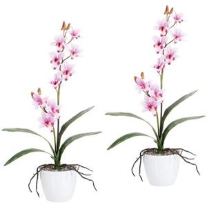Creativ green Kunstplant Orchidee Dendrobie in een keramische pot (set, 2 stuks)