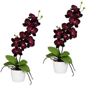 Creativ green Kunstplant Vlinderorchidee in een keramische pot (set, 2 stuks)