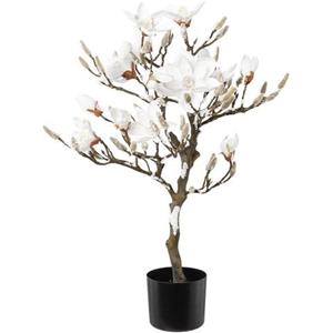 Creativ green Winterse kunstplant Kerst versiering (1 stuk)