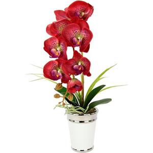 I.GE.A. Kunstbloem Orchidee