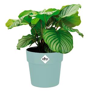 Elho Blumentopf Mint 18x17cm 2,9L