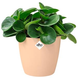 Elho Bloempot 2.2L 16x15cm Nude