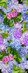 Wicotex Tafelkleed Hortensia 140x250 cm