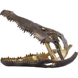 PTMD Collection PTMD Lizee Brass casted alu crocodile head statue L