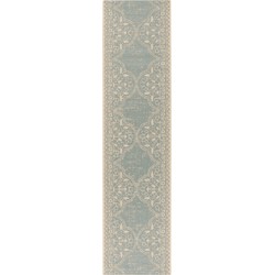 Safavieh Transitional Indoor/Outdoor Woven Area Rug, Beachhouse Collection, BHS174, in Cream & Aqua, 61 X 244 cm