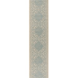 Safavieh Transitional Indoor/Outdoor Woven Area Rug, Beachhouse Collection, BHS174, in Cream & Aqua, 61 X 244 cm