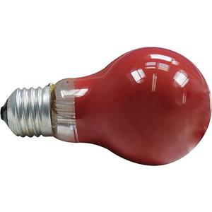 ESR Gekleurde lamp rood 15W E27 grote fitting vorm standaard 230V dimbaar