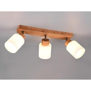 Trio international Landelijke plafondspot Assam 3-lichts R81113030