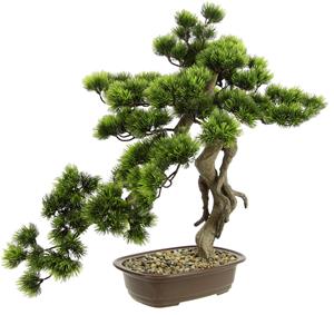 I.GE.A. Kunstplant Bonsai boom in schaal (1 stuk)