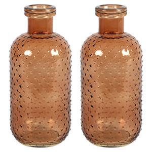 Countryfield Bloemenvaas Cactus Dots - 2x - lichtbruin transparant - glas - D11 x H24 cm -