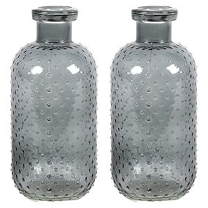 Countryfield Bloemenvaas Cactus Dots - 2x - donkergrijs transparant - glas - D11 x H24 cm -