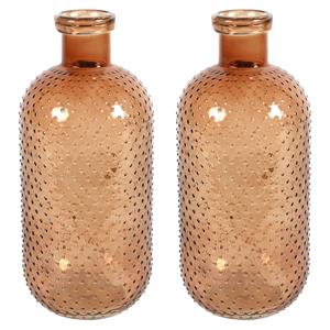 Countryfield Bloemenvaas Cactus Dots - 2x - lichtbruin transparant - glas - D15 x H35 cm -