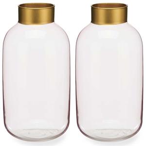 Giftdecor Bloemenvazen 2x stuks - luxe decoratie glas - roze transparant/goud - 14 x 30 cm -