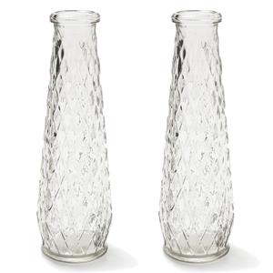 Bellatio Set van 2x stuks transparante vaas/vazen van glas 6 x 22 cm -