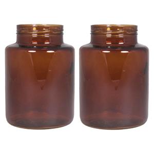 Floran Set van 2x bloemenvazen - kastanje bruin/transparant glas - H25 x D17 cm -