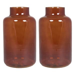 Floran Set van 2x bloemenvazen - bruin/transparant glas - H25 x D15 cm -