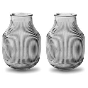 Jodeco 2x Stuks Bloemenvazen - smoke grijs/transparant glas - H22 x D15.8/11.3 cm -