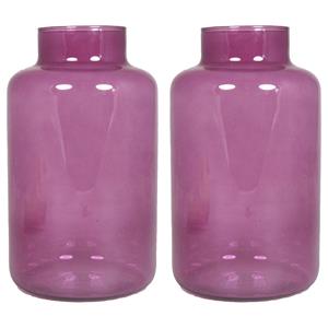 Floran Set van 2x bloemenvazen - paars/transparant glas - H25 x D15 cm -