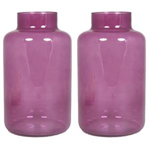 Floran Set van 2x bloemenvazen - paars/transparant glas - H25 x D15 cm -