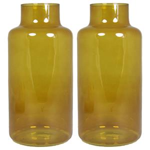 Floran Set van 2x bloemenvazen - okergeel/transparant glas - H30 x D15 cm -
