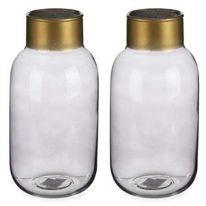 Giftdecor Bloemenvazen 2x stuks - luxe decoratie glas - grijs/goud - 12 x 24 cm -