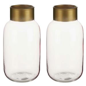 Giftdecor Bloemenvazen 2x stuks - luxe decoratie glas - roze/goud - 12 x 24 cm -