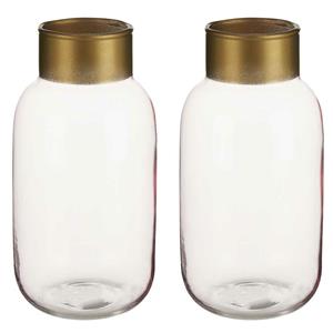 Giftdecor Bloemenvazen 2x stuks - luxe decoratie glas - roze/goud - 12 x 24 cm -