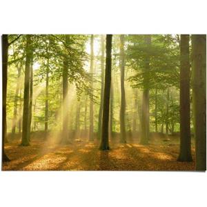 Reinders! Poster Verlicht bos