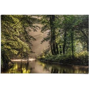 Reinders! Poster Lichtspel aan het bosmeer