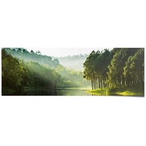 Reinders! Poster Mystiek meer in het bos