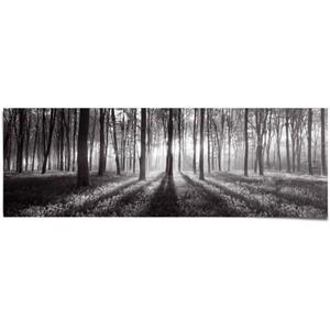 Reinders! Poster Zonsopkomst in het bos zwart/wit
