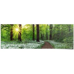 Reinders! Poster Open plek in het bos voorjaar