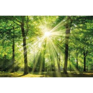 Bönninghoff Artprint op linnen Zonnestraal (1 stuk)