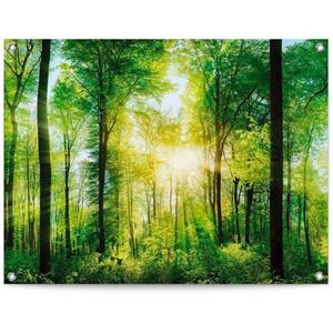 Reinders! Poster Zomerbos