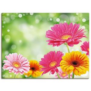 Artland Artprint Natuurlijke romantiek - Gerberas als artprint van aluminium, artprint op linnen, muursticker of poster in verschillende maten