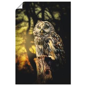 Artland Artprint Uil als artprint van aluminium, artprint op linnen, muursticker of poster in verschillende maten
