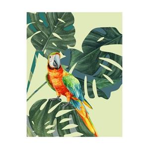 Komar Poster Green-Winged Macaw (1 stuk)