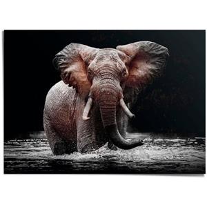 Reinders! Poster Olifant