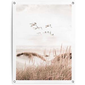 Reinders! Poster Kraanvogels