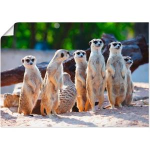 Artland Artprint Aardmannetjesfamilie als artprint van aluminium, artprint op linnen, muursticker of poster in verschillende maten