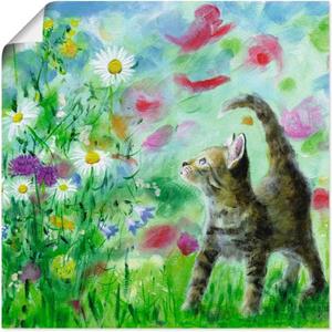 Artland Artprint Zomerweide met katje als artprint op linnen, muursticker of poster in verschillende maten