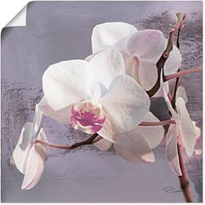 Artland Artprint Orchideeën voor violet I als artprint van aluminium, artprint op linnen, muursticker of poster in verschillende maten