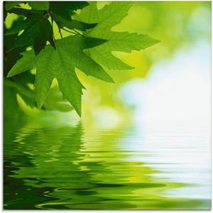 Artland Print op glas Groene blaadjes reflecteren in het water in verschillende maten