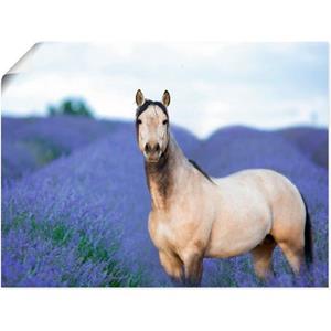 Artland Artprint Paard en bloemen III als artprint van aluminium, artprint op linnen, muursticker of poster in verschillende maten
