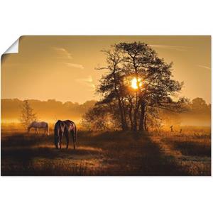 Artland Artprint Zonovergoten als artprint van aluminium, artprint op linnen, muursticker of poster in verschillende maten